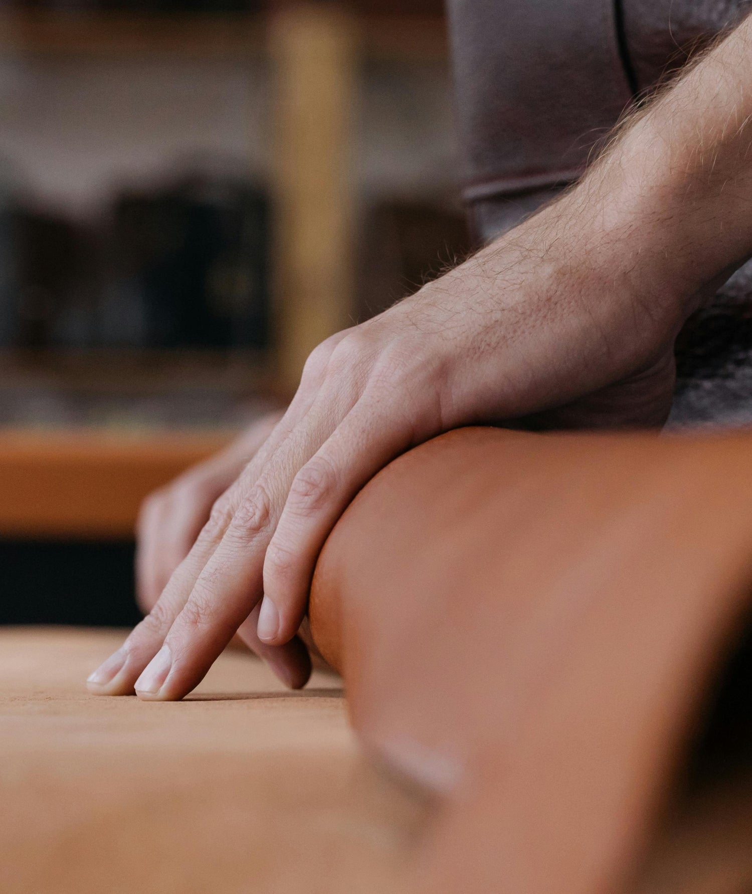 Leather Furniture Care